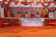 BLOOMING BUDS PUBLIC SCHOOL-Annual funtion